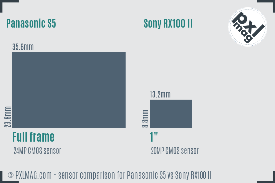 Panasonic S5 vs Sony RX100 II sensor size comparison