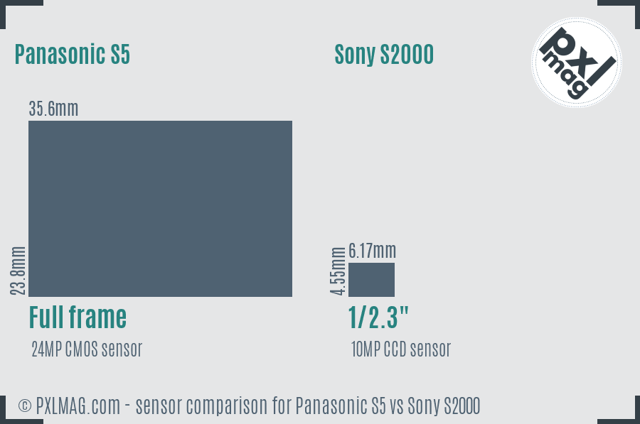 Panasonic S5 vs Sony S2000 sensor size comparison