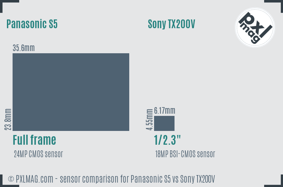 Panasonic S5 vs Sony TX200V sensor size comparison