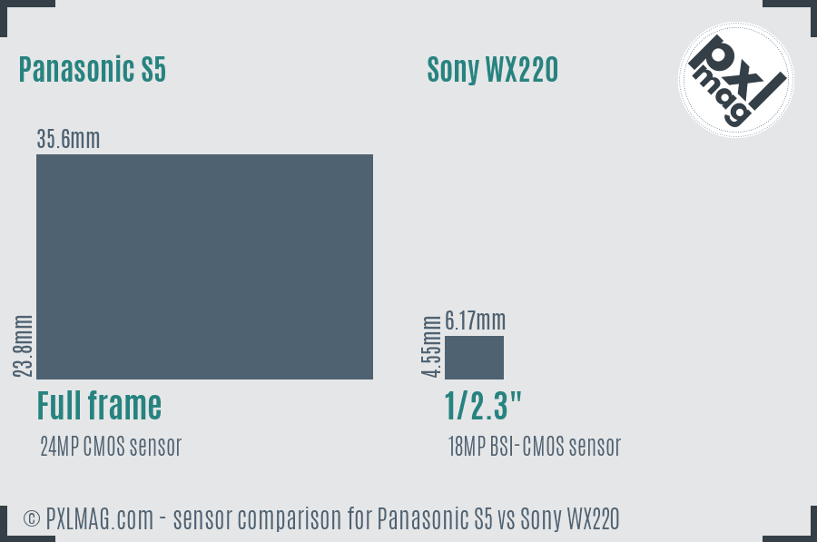 Panasonic S5 vs Sony WX220 sensor size comparison