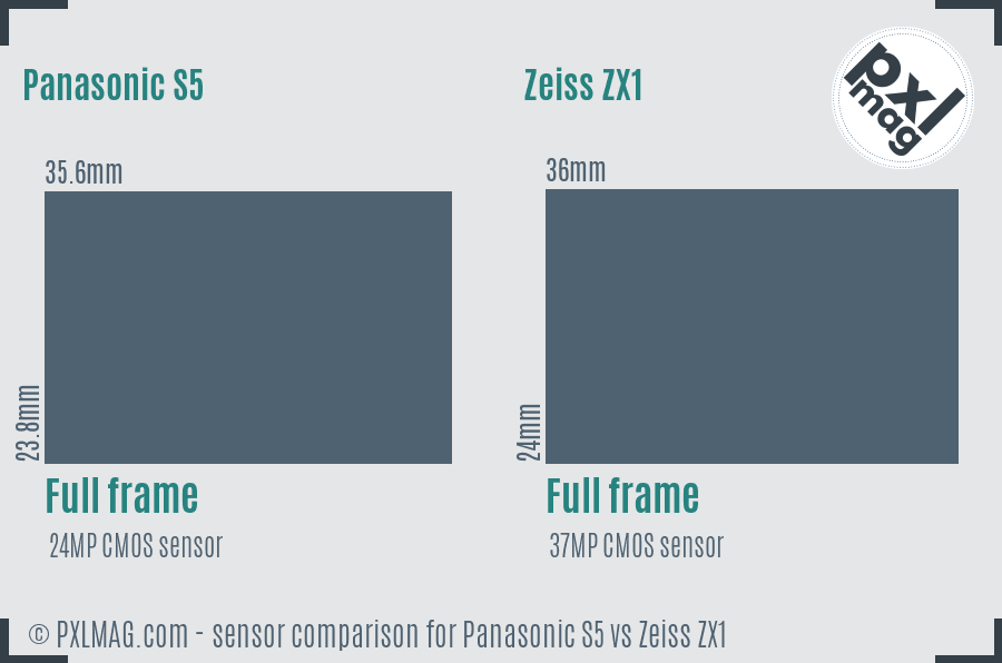 Panasonic S5 vs Zeiss ZX1 sensor size comparison