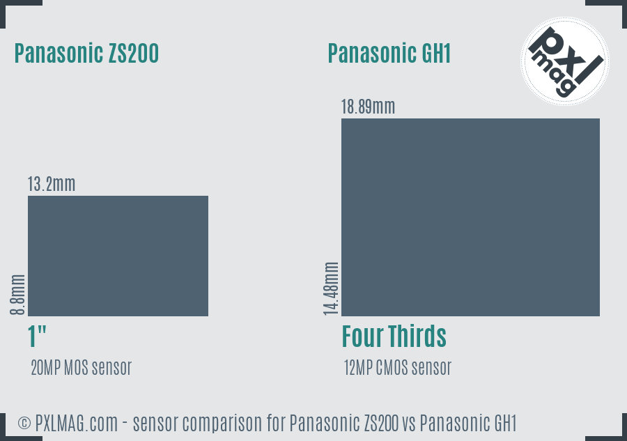 Panasonic ZS200 vs Panasonic GH1 sensor size comparison