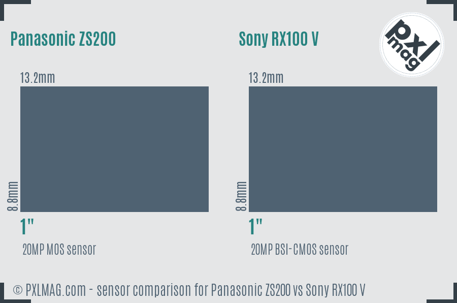 Panasonic ZS200 vs Sony RX100 V sensor size comparison