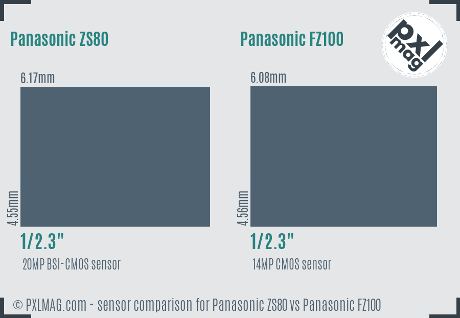 Panasonic ZS80 vs Panasonic FZ100 sensor size comparison