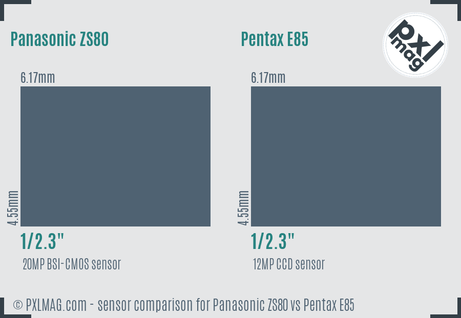 Panasonic ZS80 vs Pentax E85 sensor size comparison