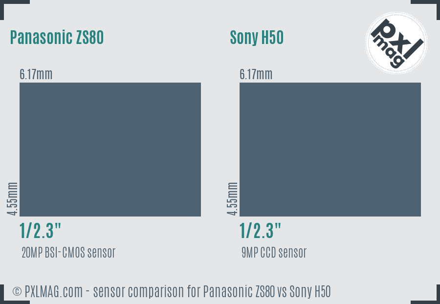 Panasonic ZS80 vs Sony H50 sensor size comparison