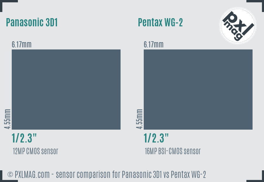 Panasonic 3D1 vs Pentax WG-2 sensor size comparison