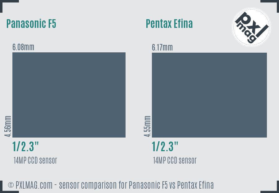 Panasonic F5 vs Pentax Efina sensor size comparison