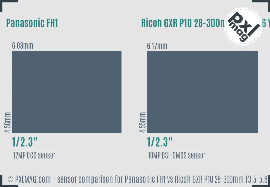 Panasonic FH1 vs Ricoh GXR P10 28-300mm F3.5-5.6 VC sensor size comparison Panasonic FH1 vs Ricoh GXR P10 28-300mm F3.5-5.6 VC sensor size comparison