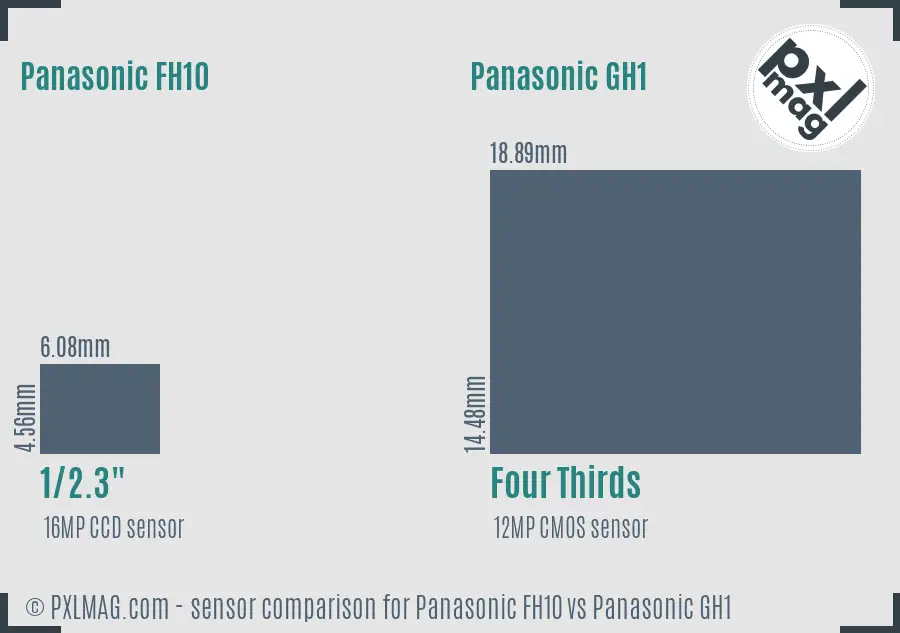 Panasonic FH10 vs Panasonic GH1 sensor size comparison