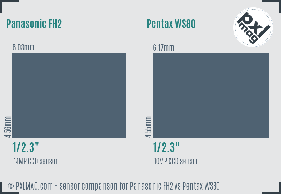 Panasonic FH2 vs Pentax WS80 sensor size comparison