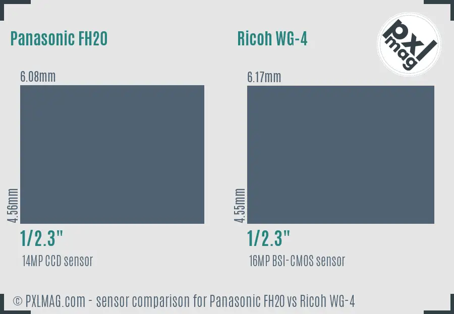 Panasonic FH20 vs Ricoh WG-4 sensor size comparison