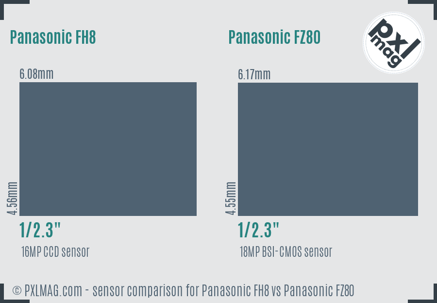 Panasonic FH8 vs Panasonic FZ80 sensor size comparison