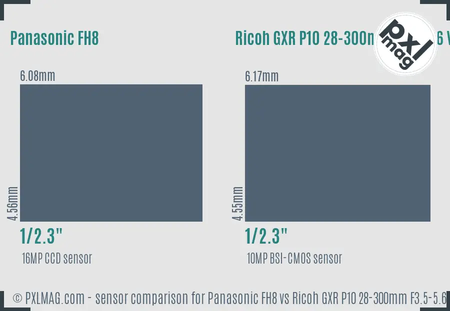 Panasonic FH8 vs Ricoh GXR P10 28-300mm F3.5-5.6 VC sensor size comparison