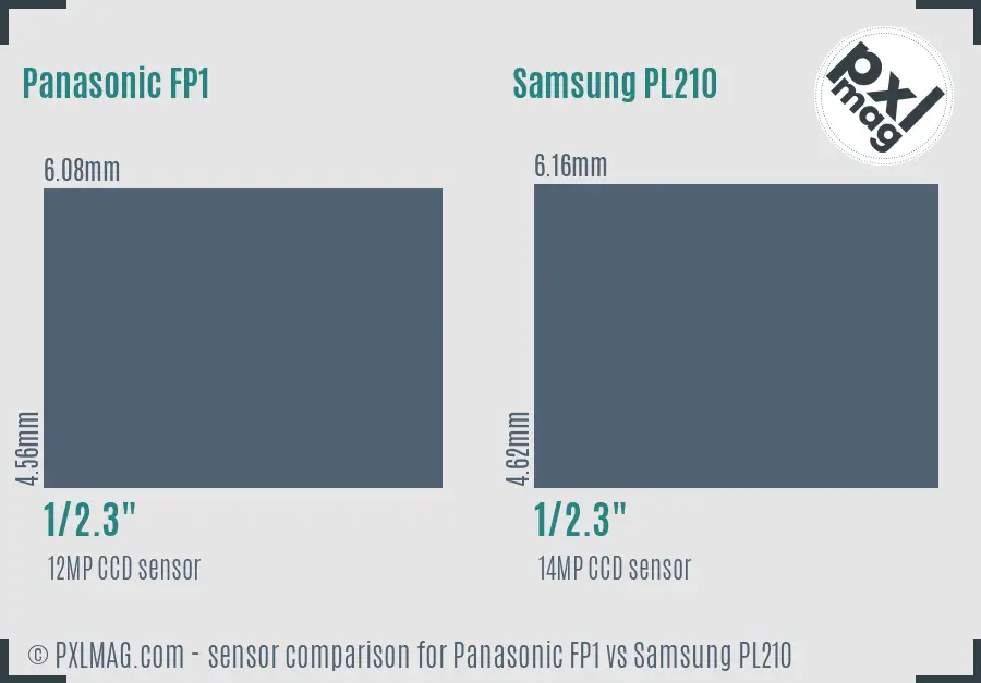 Panasonic FP1 vs Samsung PL210 sensor size comparison