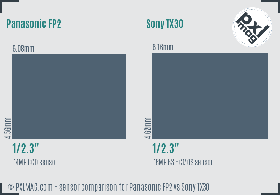 Panasonic FP2 vs Sony TX30 sensor size comparison