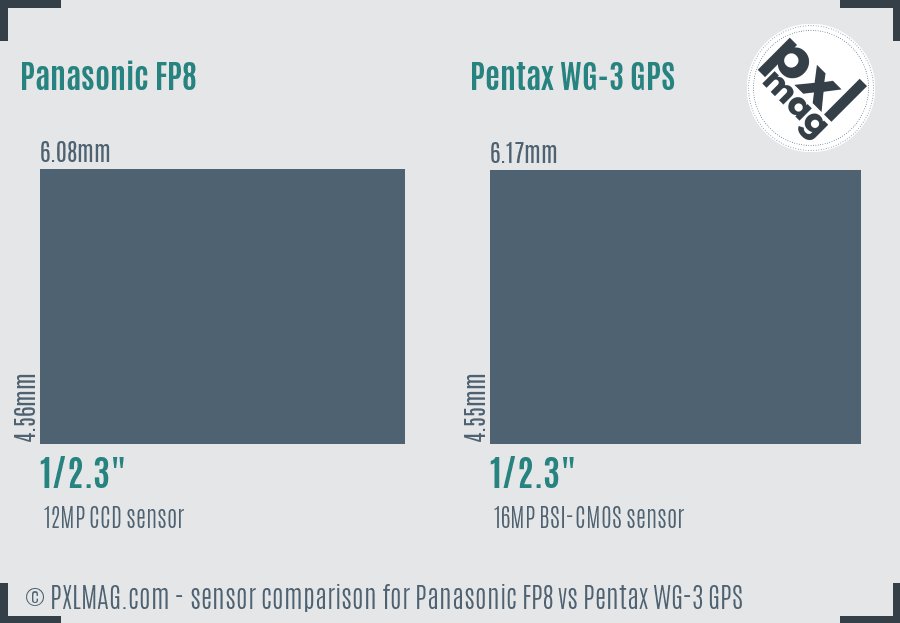 Panasonic FP8 vs Pentax WG-3 GPS sensor size comparison
