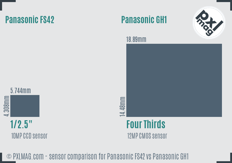 Panasonic FS42 vs Panasonic GH1 sensor size comparison