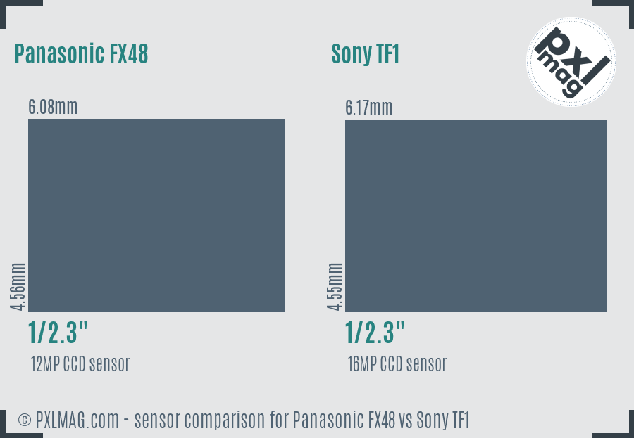 Panasonic FX48 vs Sony TF1 sensor size comparison