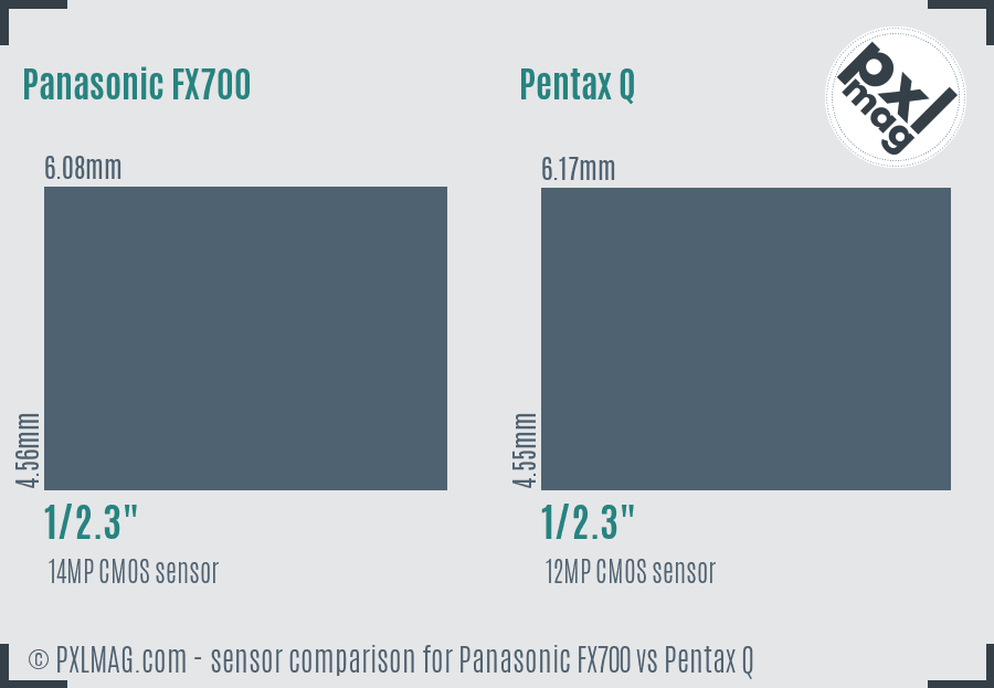 Panasonic FX700 vs Pentax Q sensor size comparison