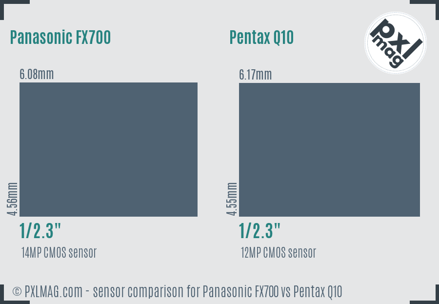 Panasonic FX700 vs Pentax Q10 sensor size comparison