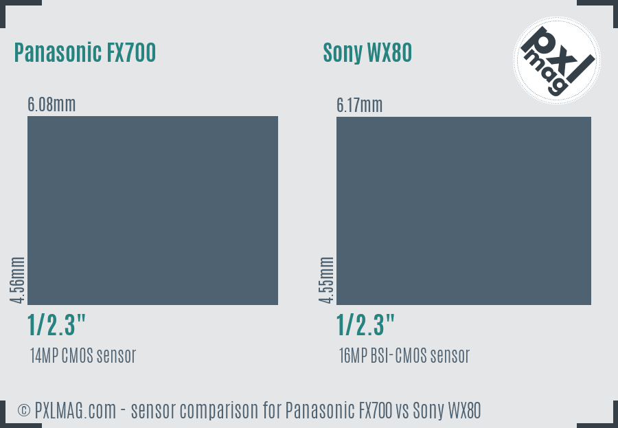 Panasonic FX700 vs Sony WX80 sensor size comparison