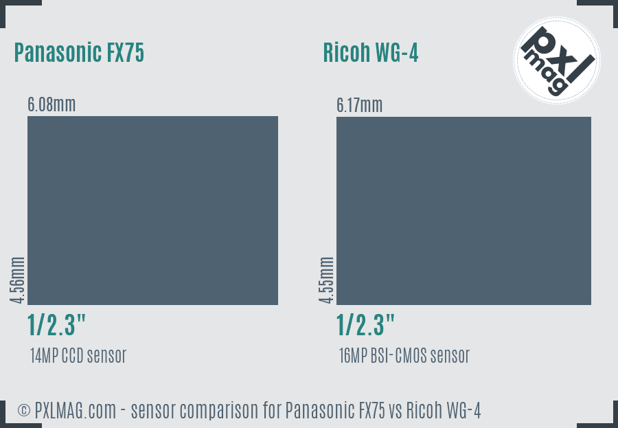 Panasonic FX75 vs Ricoh WG-4 sensor size comparison