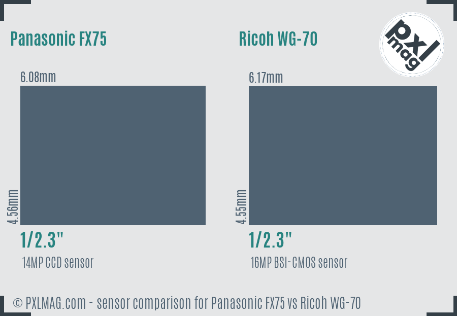 Panasonic FX75 vs Ricoh WG-70 sensor size comparison