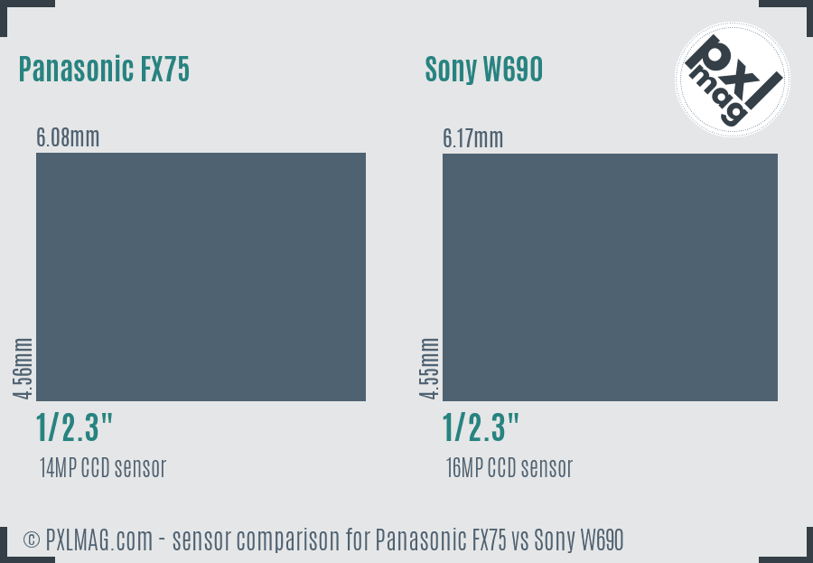 Panasonic FX75 vs Sony W690 sensor size comparison