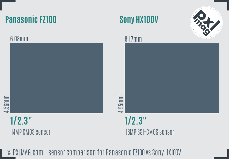 Panasonic FZ100 vs Sony HX100V sensor size comparison