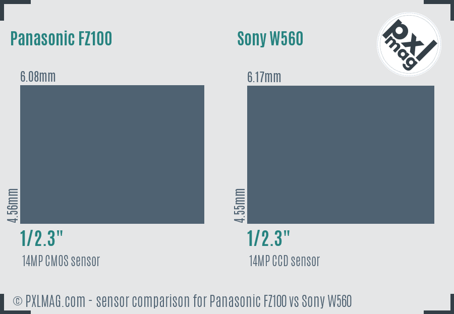 Panasonic FZ100 vs Sony W560 sensor size comparison