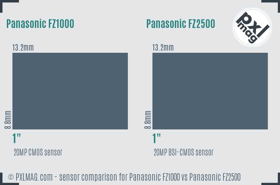 Panasonic FZ1000 vs Panasonic FZ2500 sensor size comparison