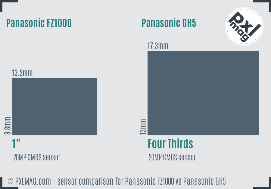 Panasonic FZ1000 vs Panasonic GH5 sensor size comparison