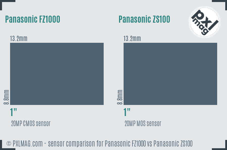Panasonic FZ1000 vs Panasonic ZS100 sensor size comparison