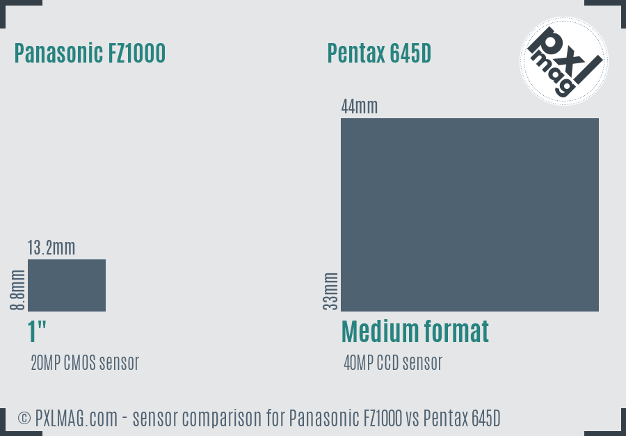 Panasonic FZ1000 vs Pentax 645D sensor size comparison