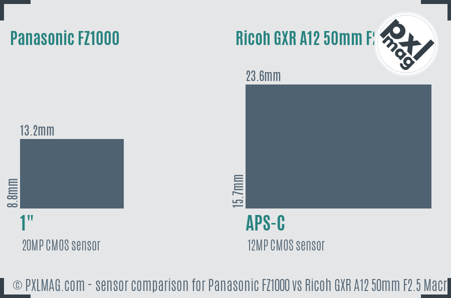 Panasonic FZ1000 vs Ricoh GXR A12 50mm F2.5 Macro sensor size comparison