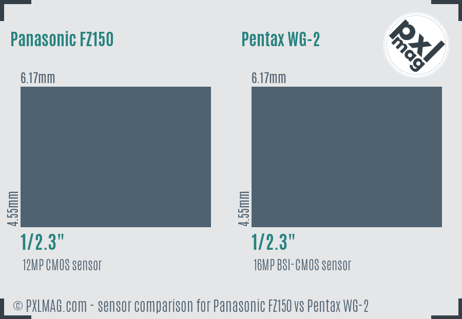 Panasonic FZ150 vs Pentax WG-2 sensor size comparison