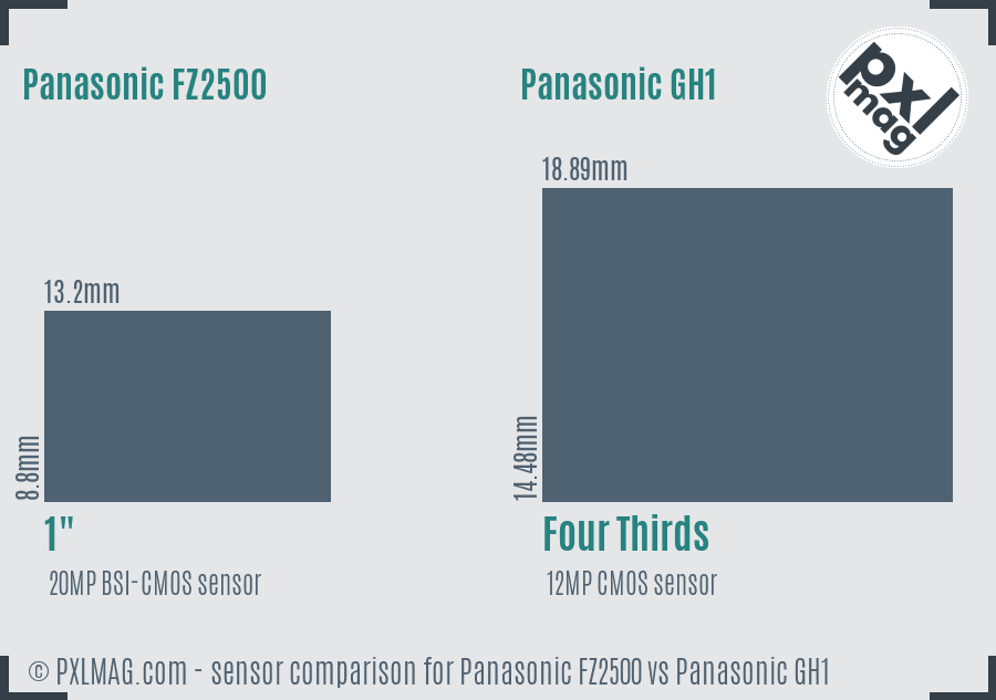 Panasonic FZ2500 vs Panasonic GH1 sensor size comparison