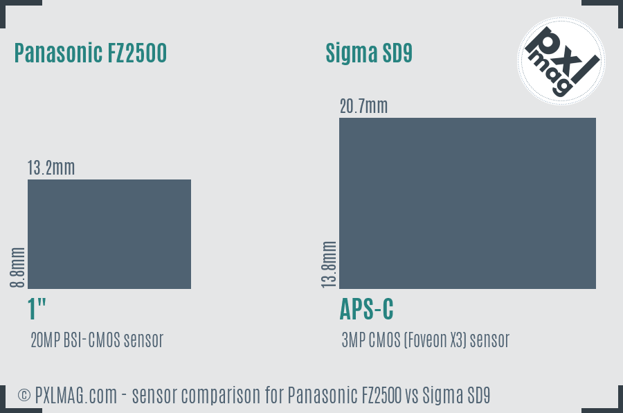 Panasonic FZ2500 vs Sigma SD9 sensor size comparison