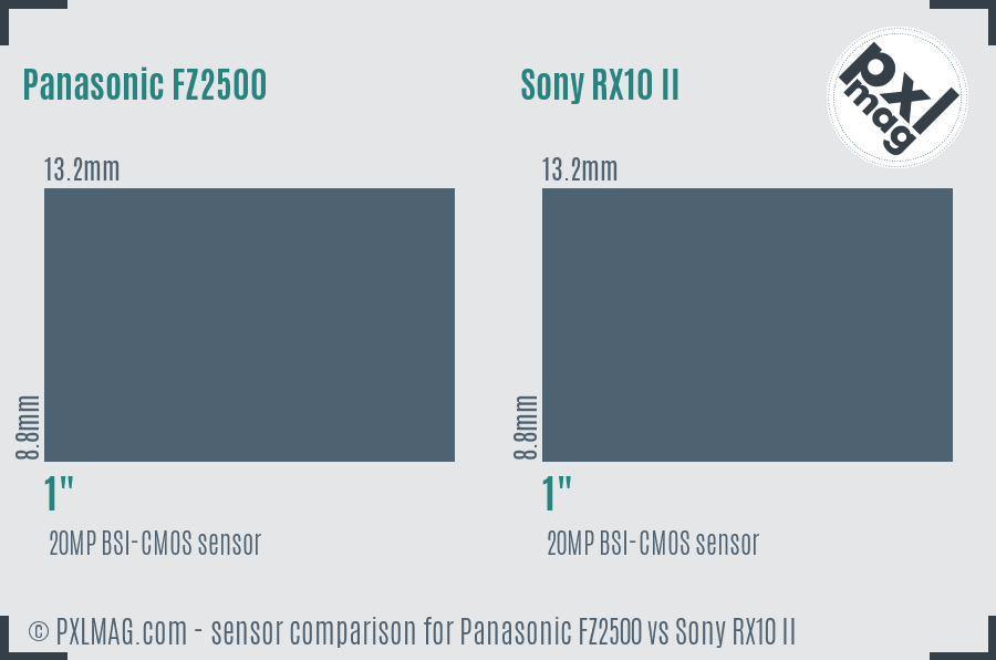 Panasonic FZ2500 vs Sony RX10 II sensor size comparison