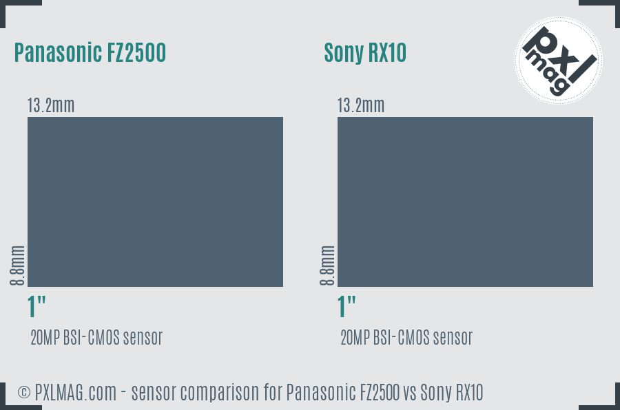Panasonic FZ2500 vs Sony RX10 sensor size comparison