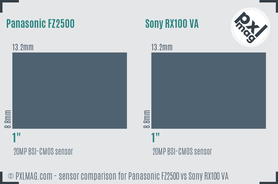 Panasonic FZ2500 vs Sony RX100 VA sensor size comparison