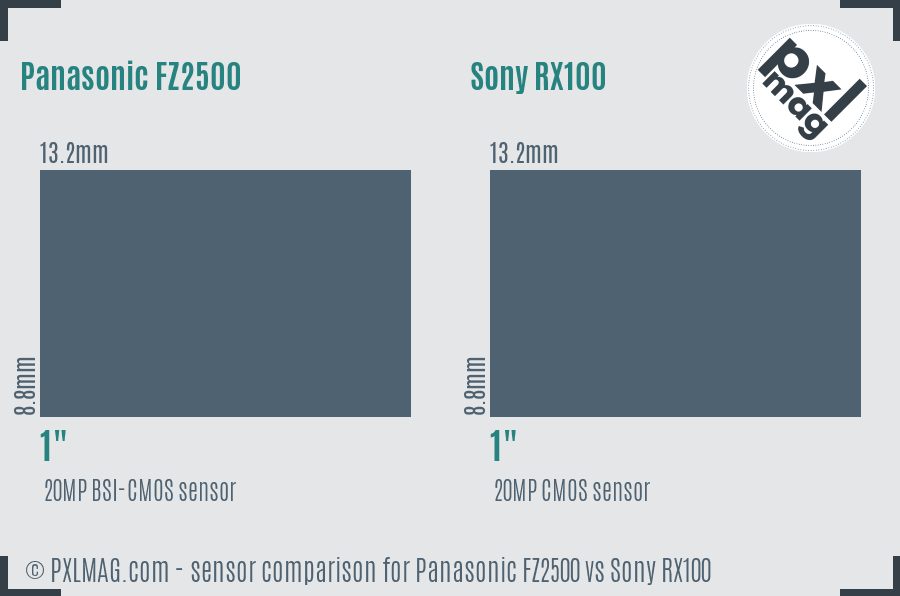 Panasonic FZ2500 vs Sony RX100 sensor size comparison Panasonic FZ2500 vs Sony RX100 sensor size comparison