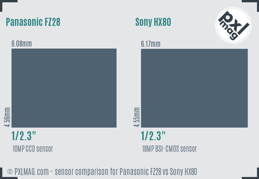 Panasonic FZ28 vs Sony HX80 sensor size comparison