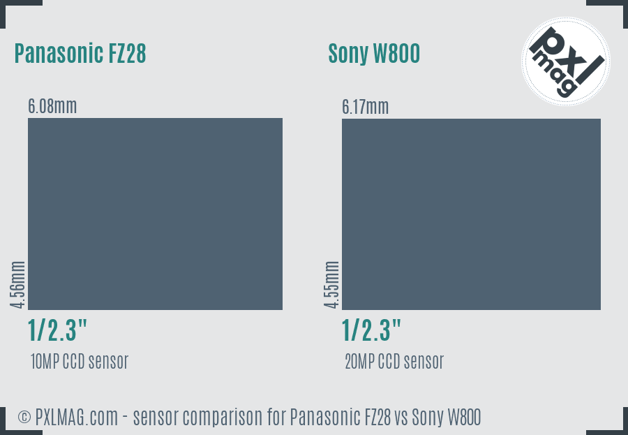 Panasonic FZ28 vs Sony W800 sensor size comparison