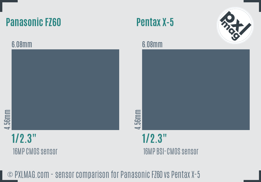 Panasonic FZ60 vs Pentax X-5 sensor size comparison