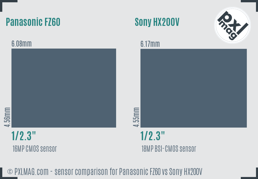 Panasonic FZ60 vs Sony HX200V sensor size comparison