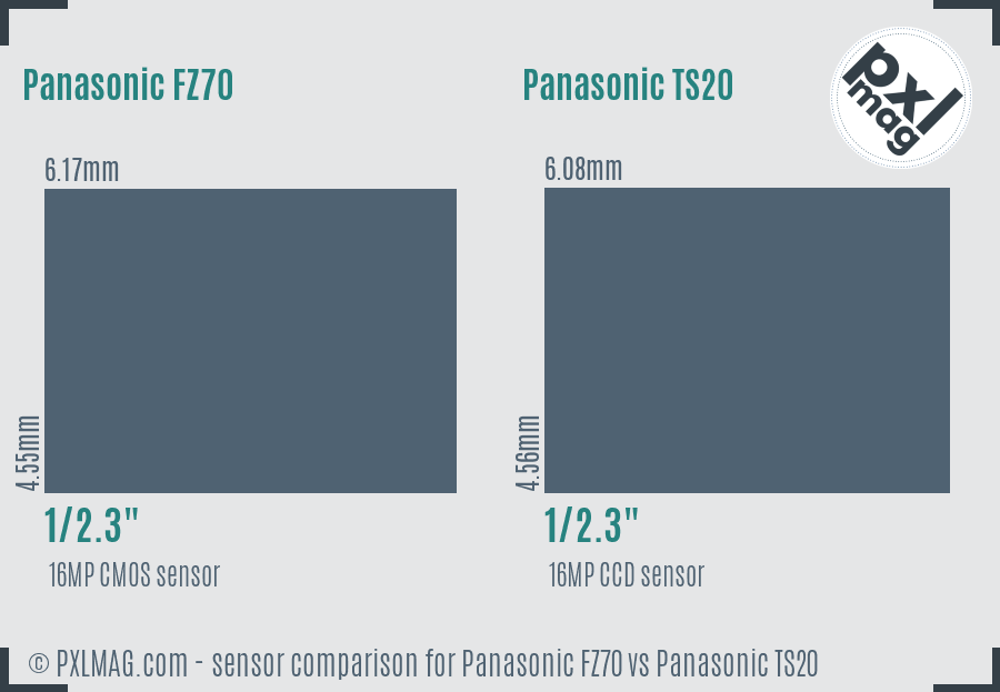 Panasonic FZ70 vs Panasonic TS20 sensor size comparison