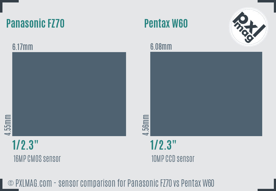 Panasonic FZ70 vs Pentax W60 sensor size comparison