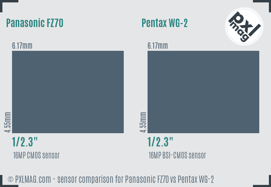 Panasonic FZ70 vs Pentax WG-2 sensor size comparison